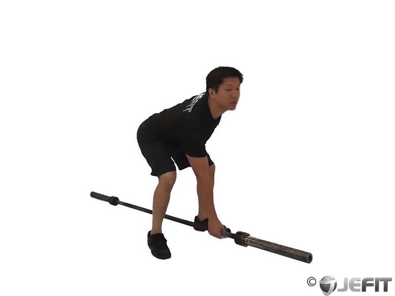 Lower back workouts with weights