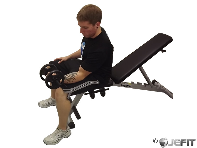 Dumbbell One Arm Seated Wrist Curl Exercise Database Jefit