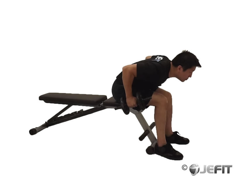 Dumbbell Seated Bent Over Two Arm Triceps Extension Exercise