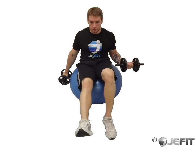 Dumbbell Alternating Seated Bicep Curl On Exercise Ball Exercise