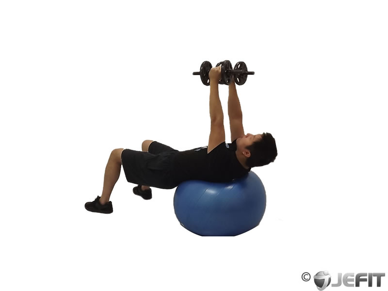 Dumbbell Fly On Exercise Ball Exercise Database Jefit Best