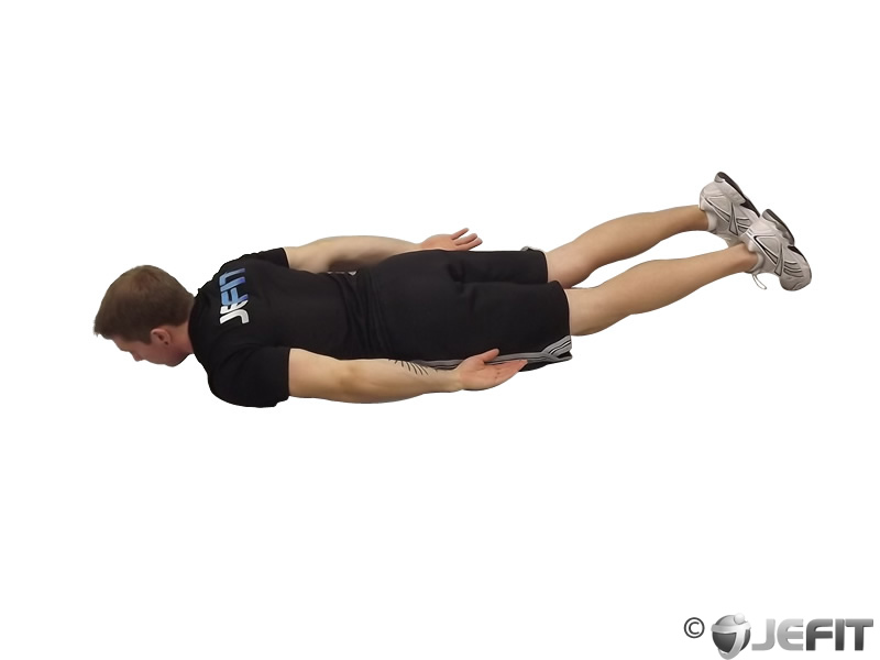 Cobra Exercise Database Jefit Best Android And Iphone