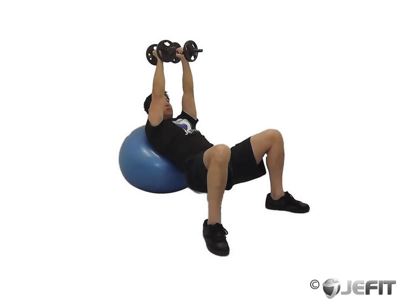 Machine Decline Chest Press Exercise Database Jefit Best