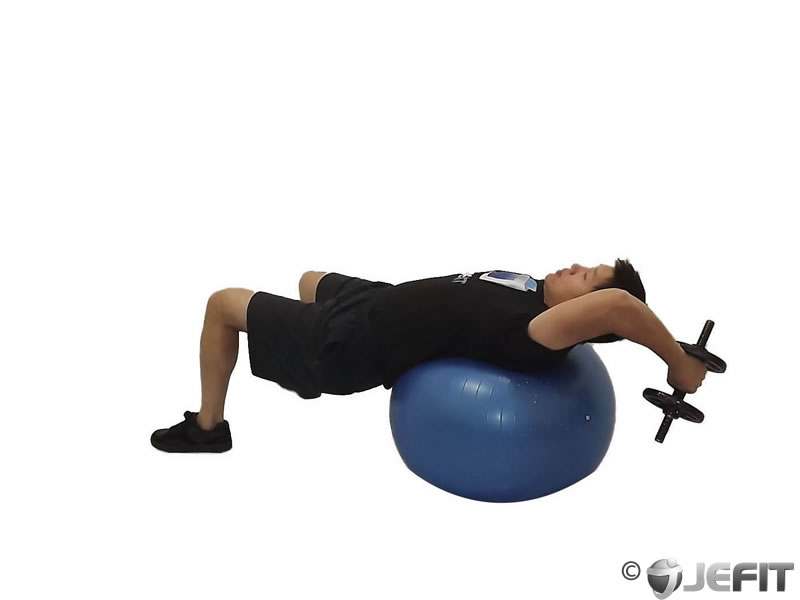 Dumbbell One Arm Pullover On Exercise Ball Exercise Database