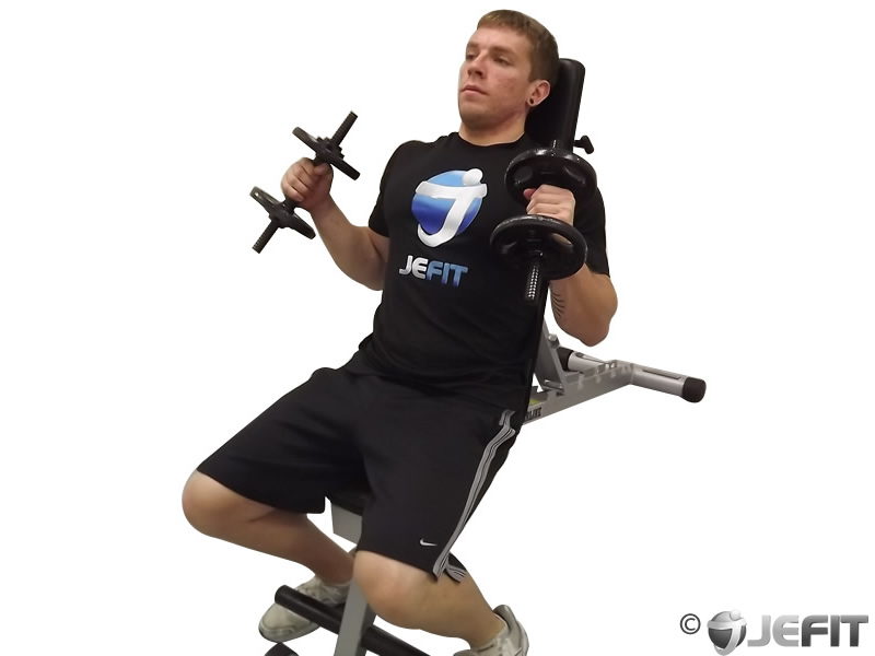 Dumbbell Incline Bench Hammer Curl Exercise Database Jefit