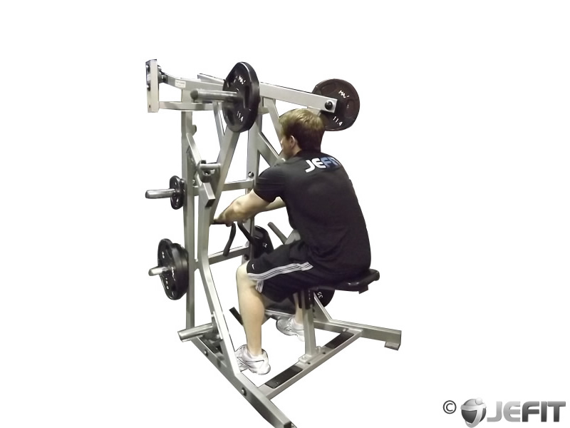 row machine back workout