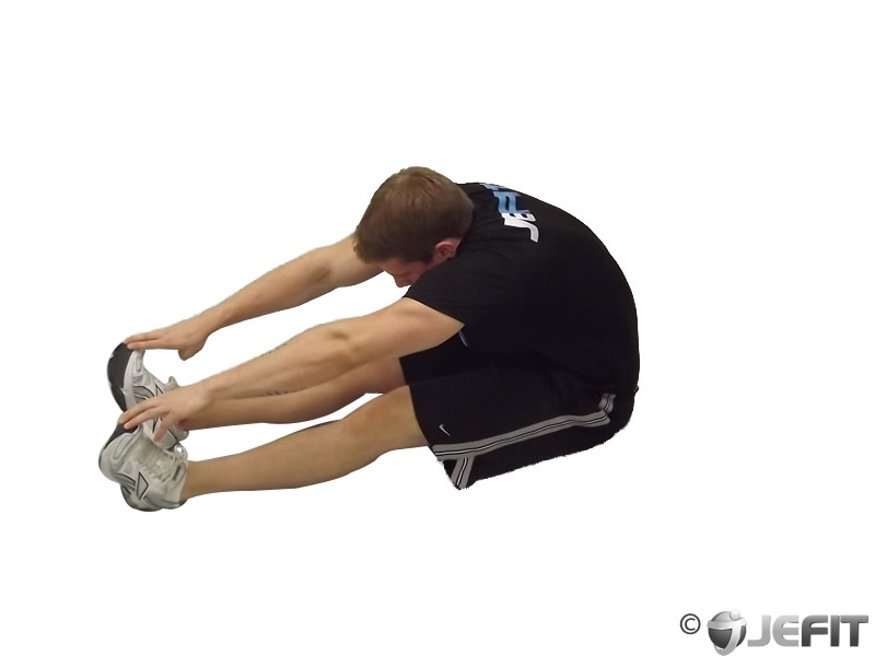 Image Result For Sitting Exercise Machine Image Result For Sitting Exercise Machine