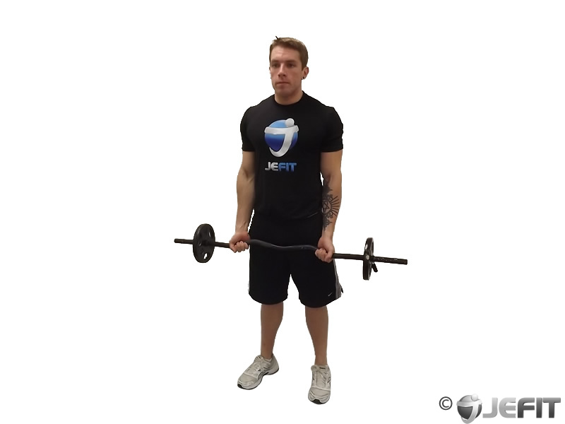 Ez Bar Curl Exercise Database Jefit Best Android And Iphone Ez Bar Curl
