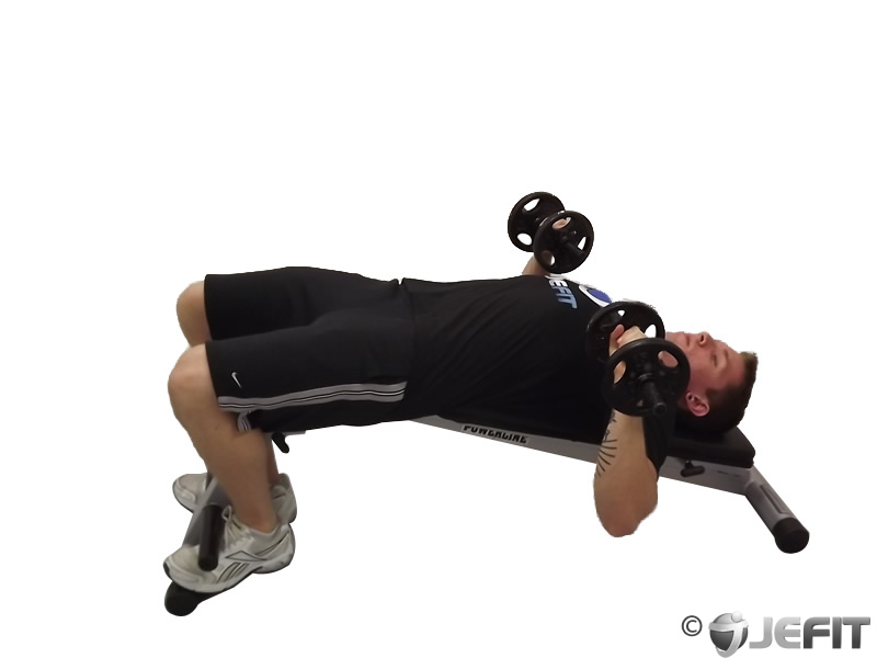 Dumbbell Twisting Decline Sit Up - Exercise Database | Jefit - Best Android and iPhone Workout, Fitness, Exercise and Bodybuilding App | Best Workout Tracking Software Dumbbell Twisting Decline Sit Up - Exercise Database | Jefit - Best Android and iPhone Workout, Fitness, Exercise and Bodybuilding App | Best Workout Tracking Software