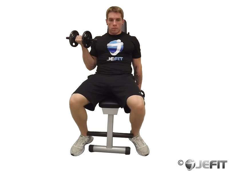 Dumbbell One Arm Seated Curl Exercise Database Jefit Best