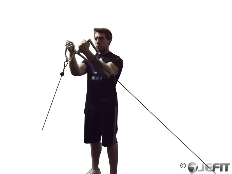 Cable Lower Chest Raise Exercise Database Jefit Best