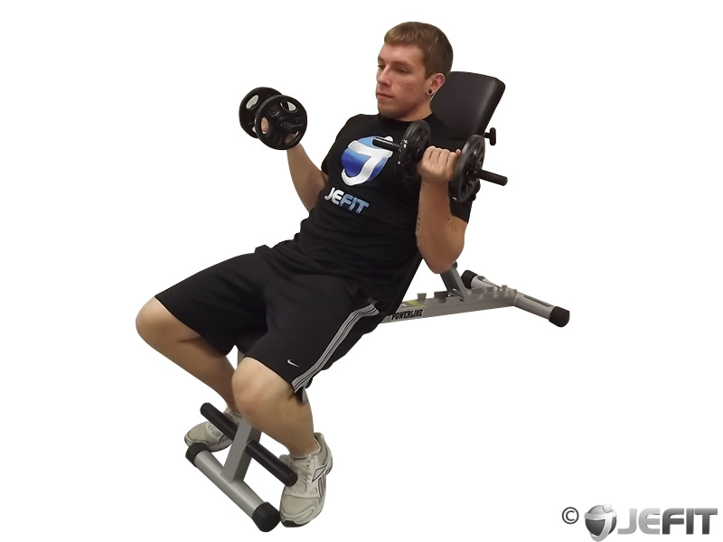Www curl. Incline Bench Dumbbell Curl. Incline Dumbbell Bench. Bench bicrpt Curls. Incline DB Curls.