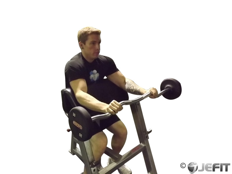 Ez Bar Reverse Grip Preacher Curl Exercise Database Jefit