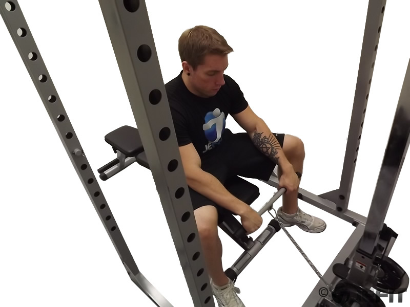 Cable Seated Reverse Grip Wrist Curl Exercise Database Jefit