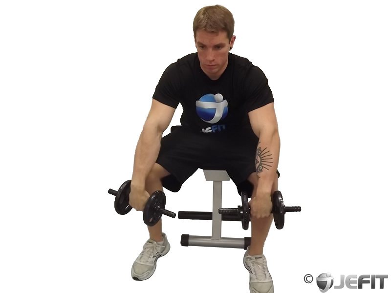 Reverse Barbell Curls