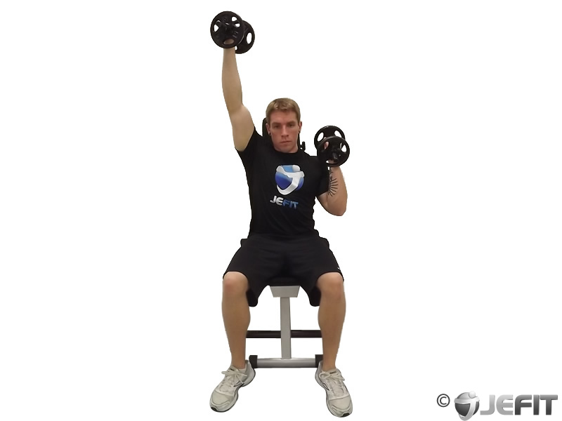 Dumbbell Alternate Seated Palms In Press Exercise Database