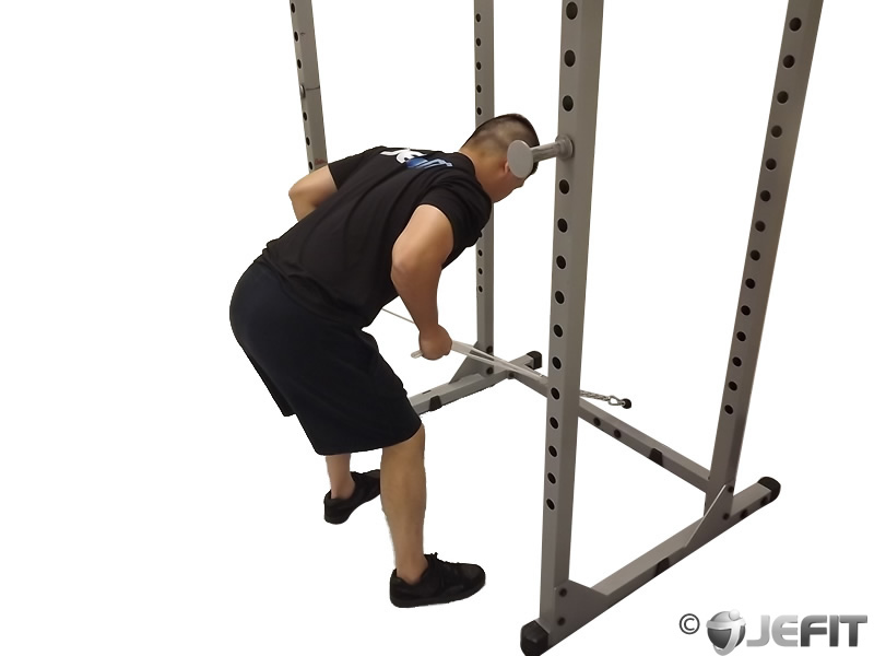 Cable Two Arm Tricep Kickback Exercise Database Jefit Best