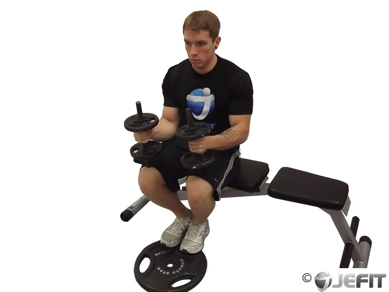 Single Leg Calf raises