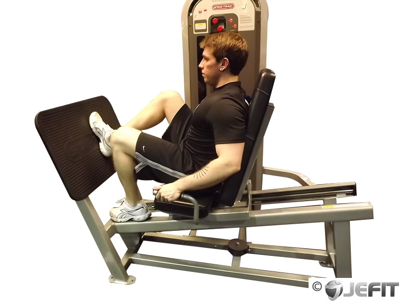 Image Result For Sitting Exercise Machine Image Result For Sitting Exercise Machine