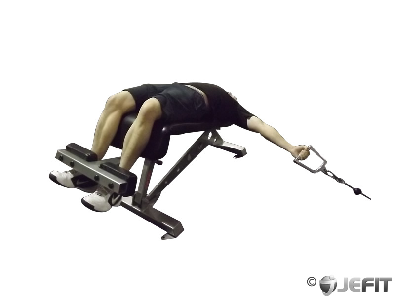 Cable Decline Chest Fly Exercise Database Jefit Best Android