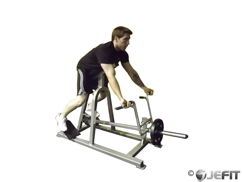 Reverse Lying T Bar Machine Row Exercise Database Jefit