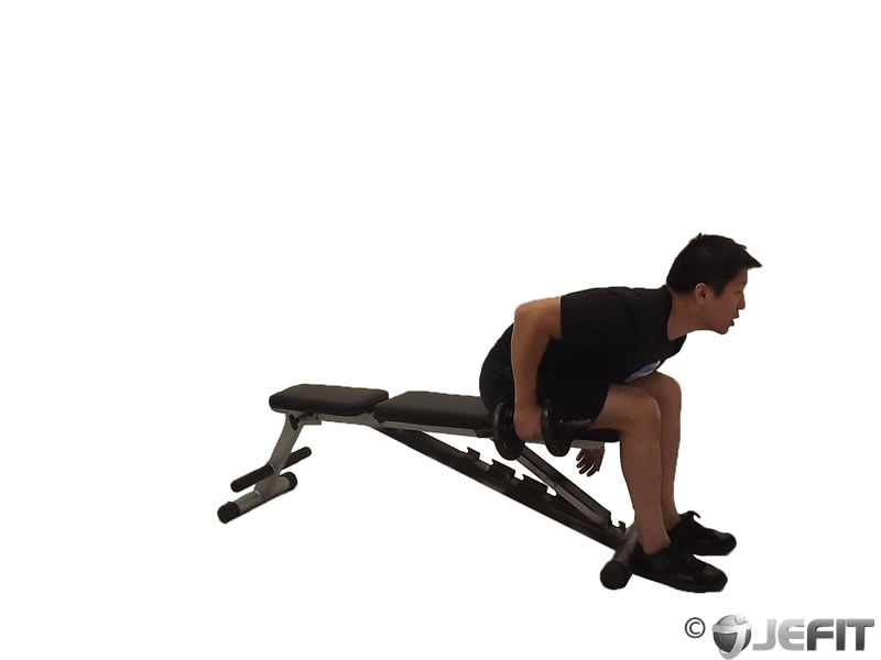 Dumbbell Seated Bent Over Triceps Extension Exercise Database