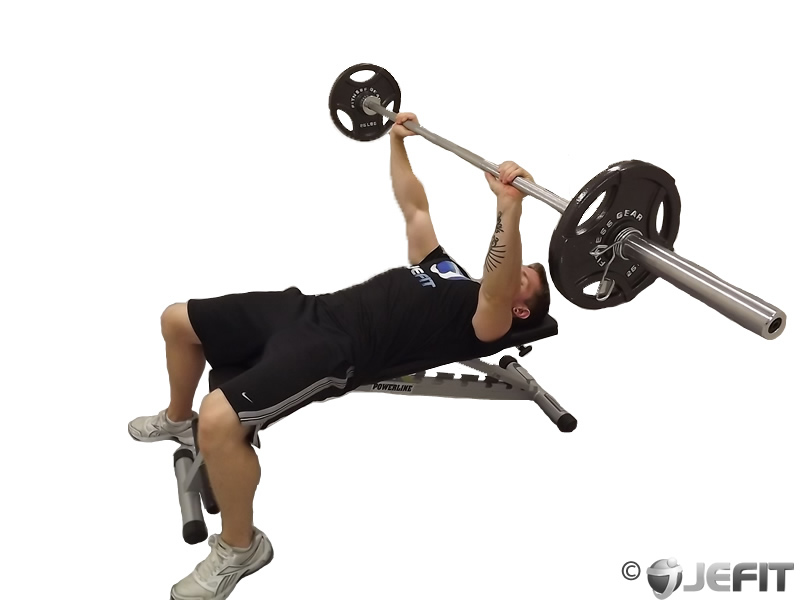 Barbell Bench Press - Exercise Database  Jefit - Best Android and 