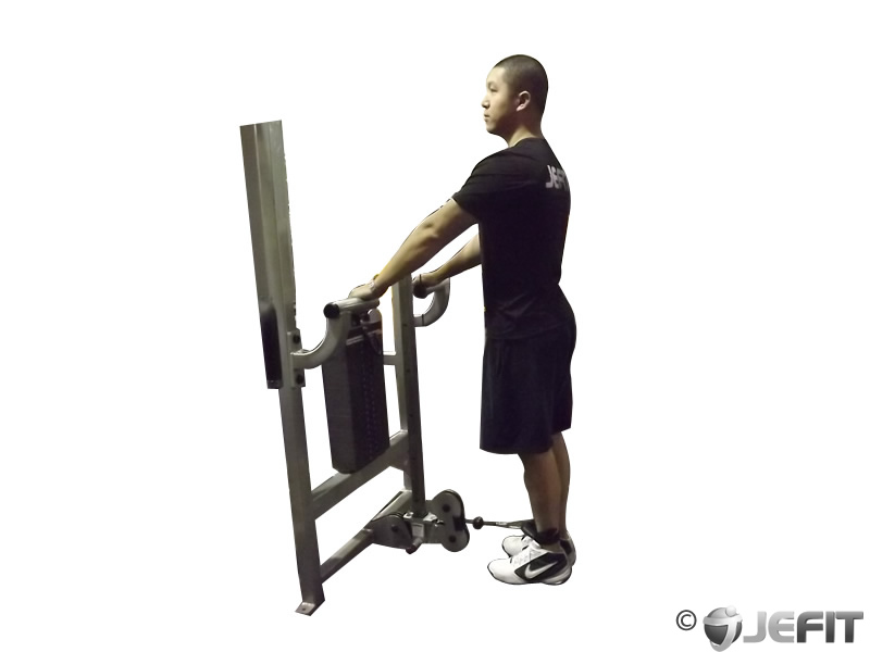 standing hamstring curl machine