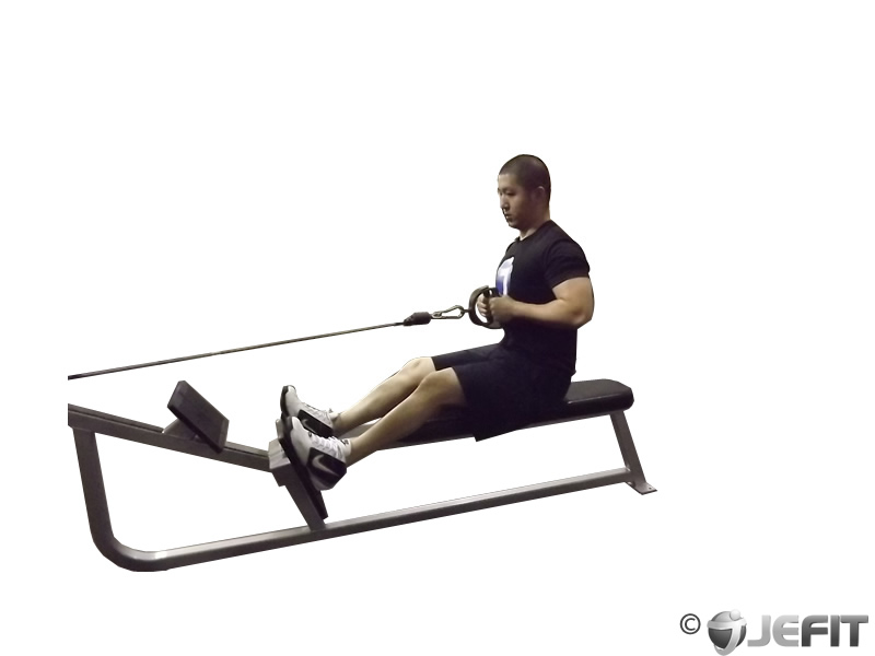 Cable Seated Row - Exercise Database | Jefit - Best ...