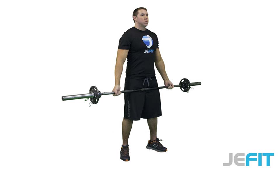 Barbell Bicep Curl (Wide Grip) exercise
