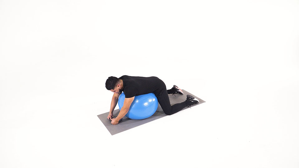 Stability Ball Weighted Hyperextension exercise