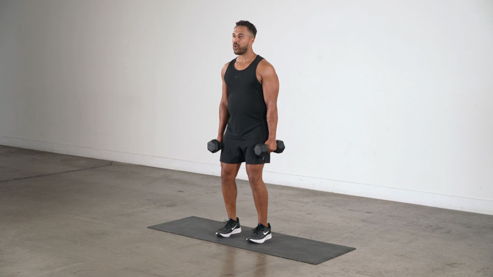 Dumbbell Shoulder Shrug exercise