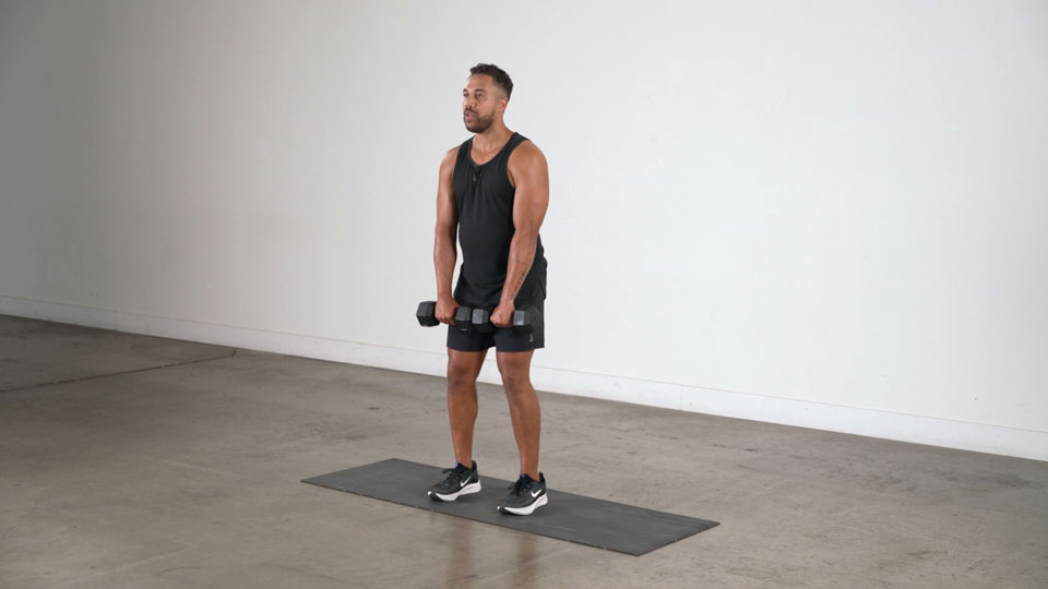 Dumbbell Upright Row exercise