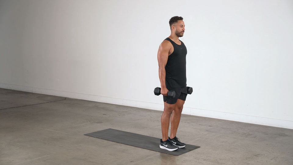 Dumbbell Reverse Lunge exercise