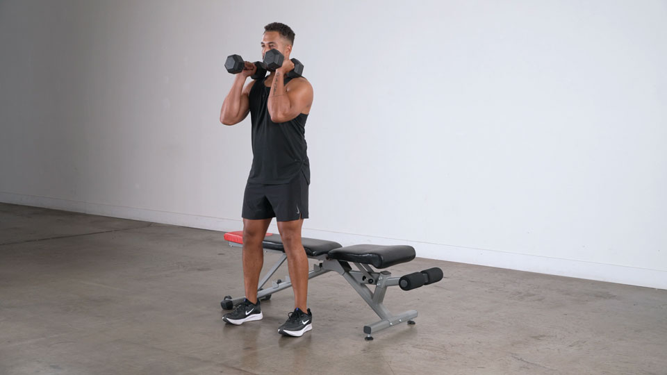 Dumbbell Bench Squat  exercise