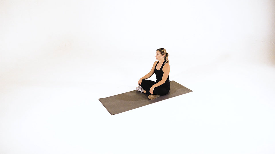 Seated Twist exercise