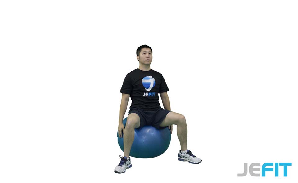 Stability Ball Half Moon Stretch exercise