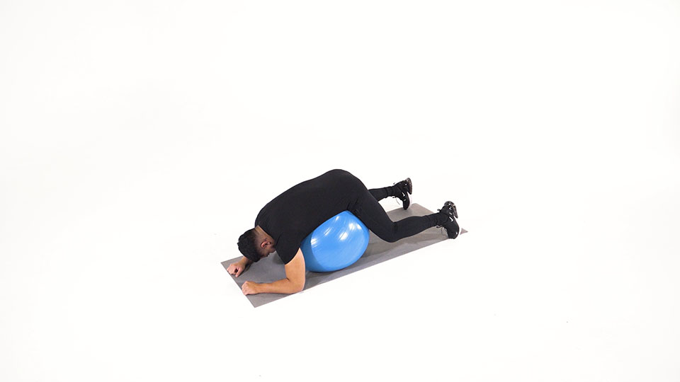 Stability Ball Back Stretch