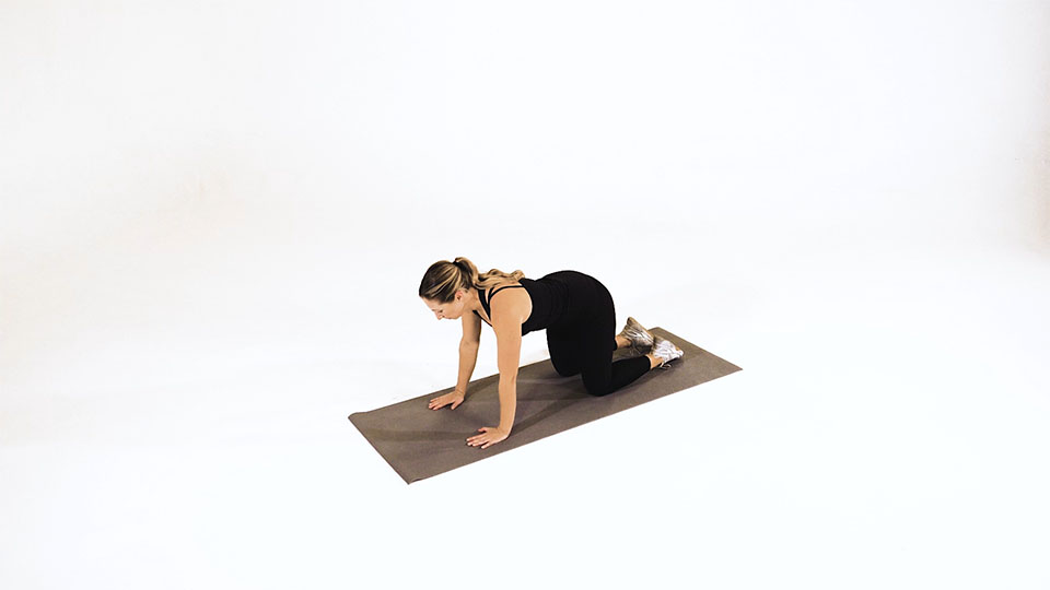 Shell Stretch exercise