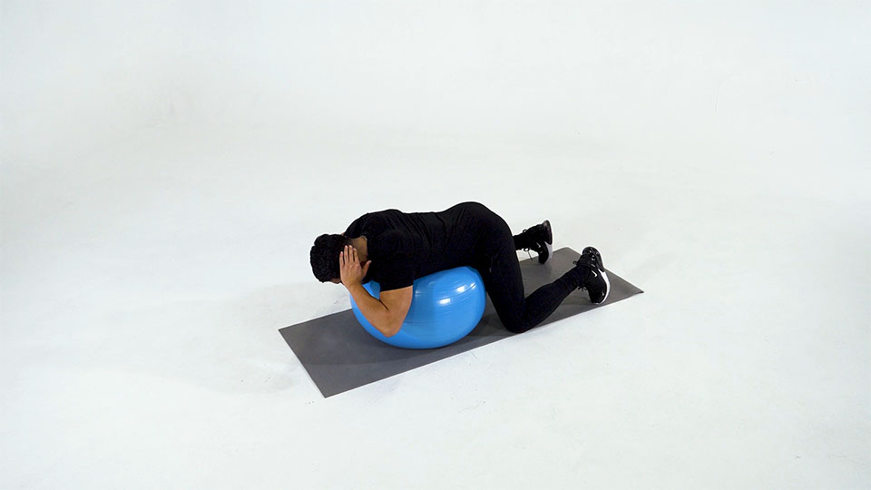 Stability Ball Back Extension with Hands Behind Head exercise