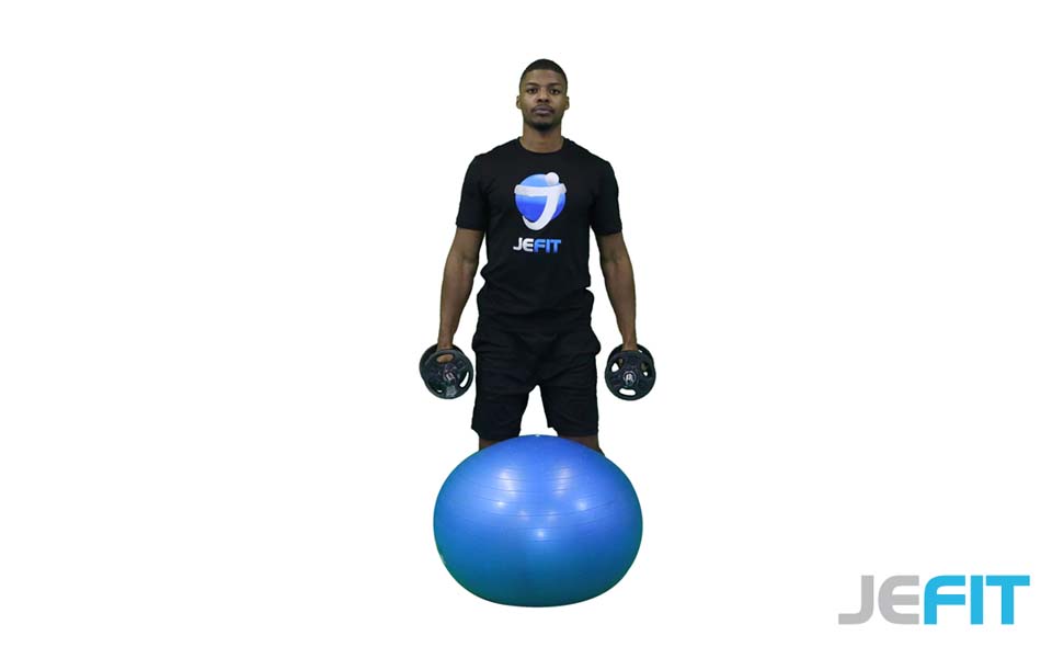 Dumbbell Kneeling Bicep Curl (Stability Ball) exercise