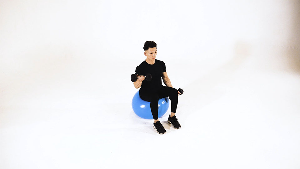 Dumbbell One-Arm Bicep Curl on Stability Ball 