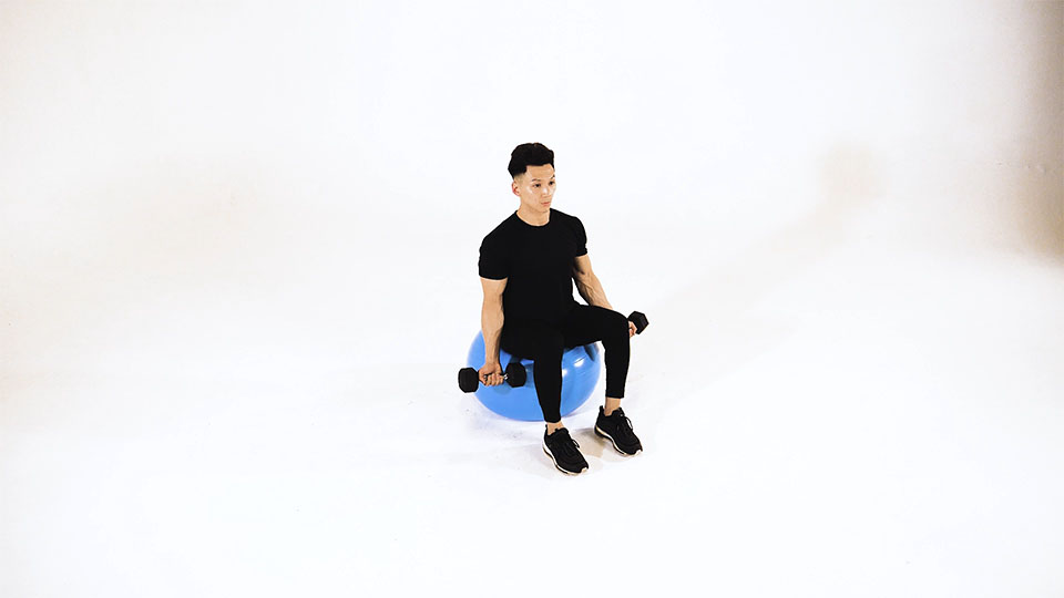 Dumbbell Alternating Bicep Curl (Stability Ball) exercise