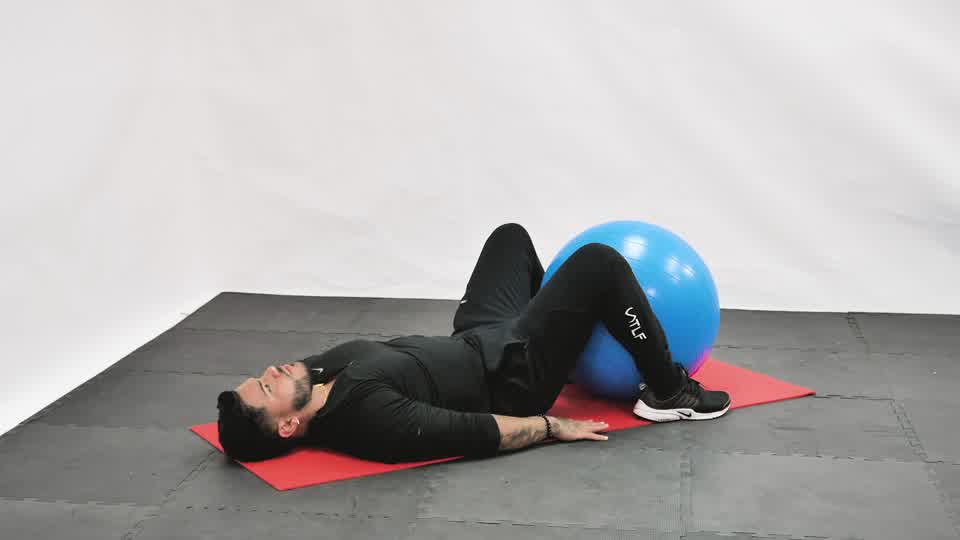 Stability Ball Reverse Crunch