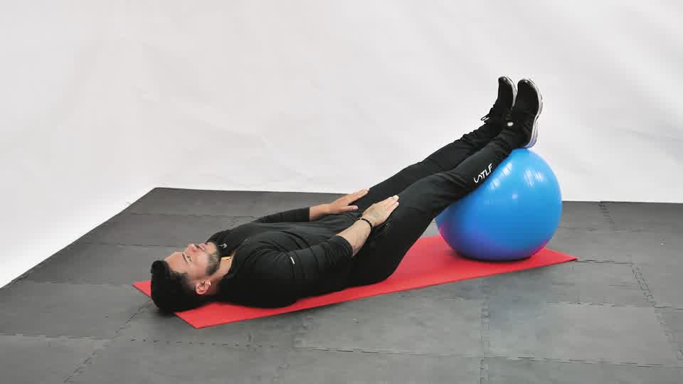 Stability Ball Straight-Leg Crunch exercise