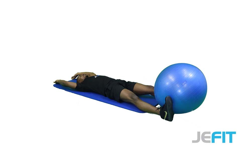 Stability Ball Hand and Foot Exchange exercise