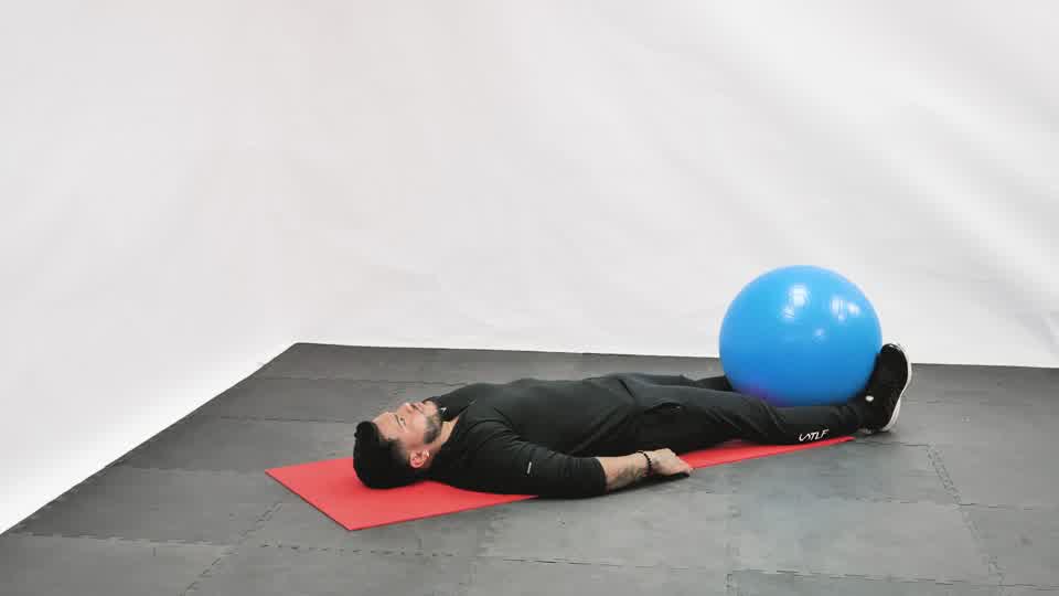 Stability Ball Leg Lift exercise