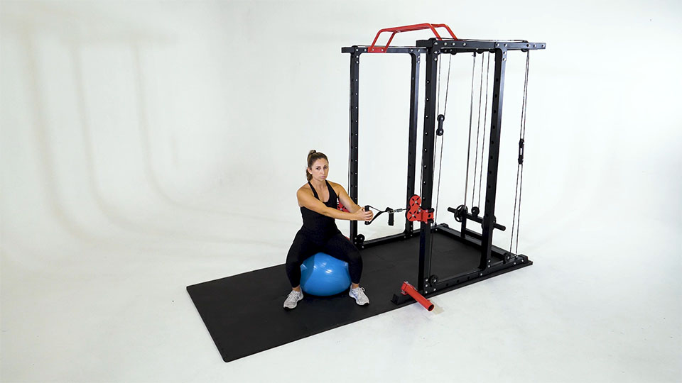 Cable Rotation (Stability Ball) exercise