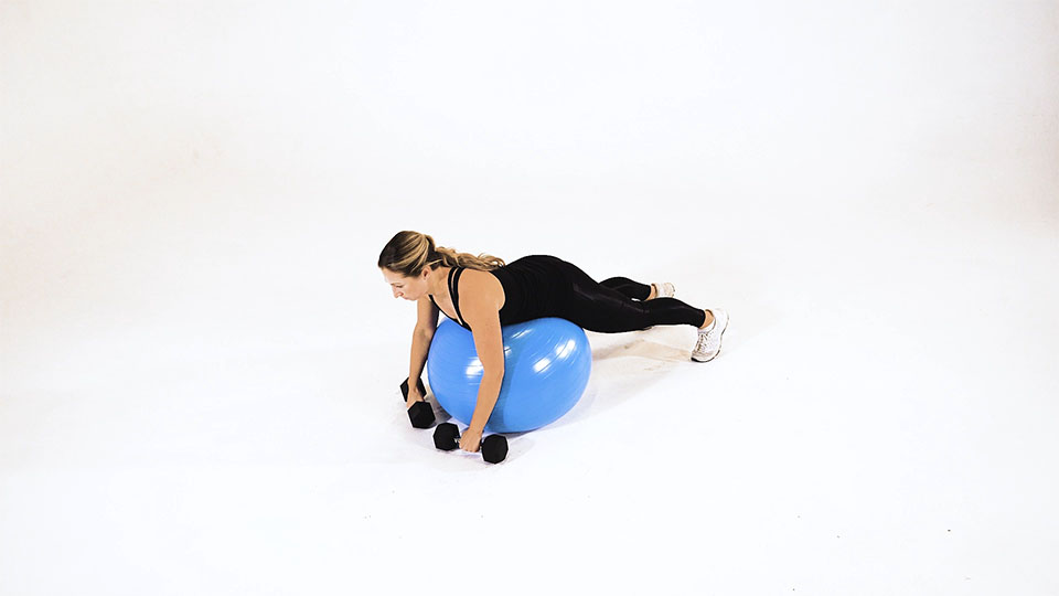 Dumbbell Rear Row (Stability Ball) exercise