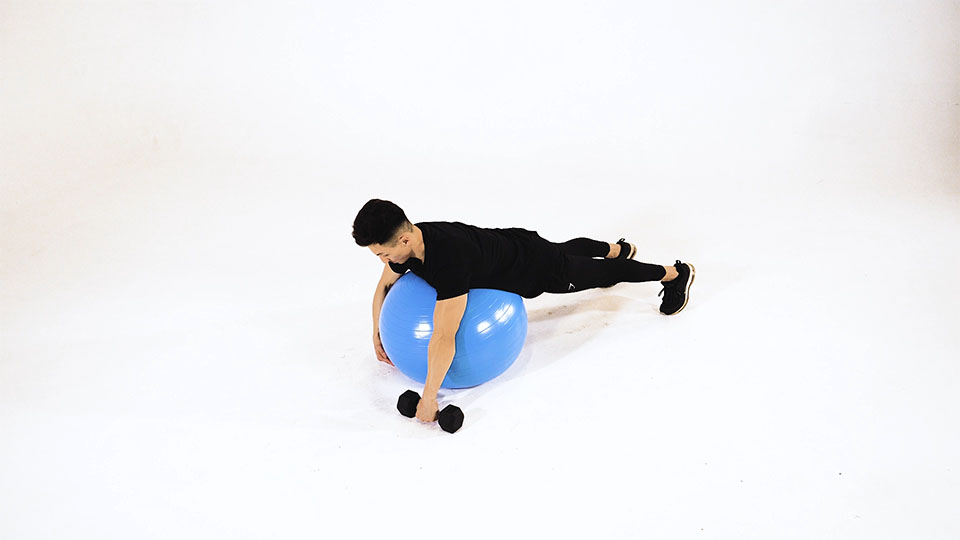 Dumbbell One-Arm Row (Stability Ball) exercise